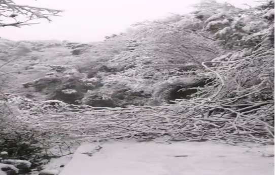 战暴雪、保供电！乐鱼平台_乐鱼（中国）一站式服务平台鸟儿巢公司应对极端天气紧急抢修失电故障