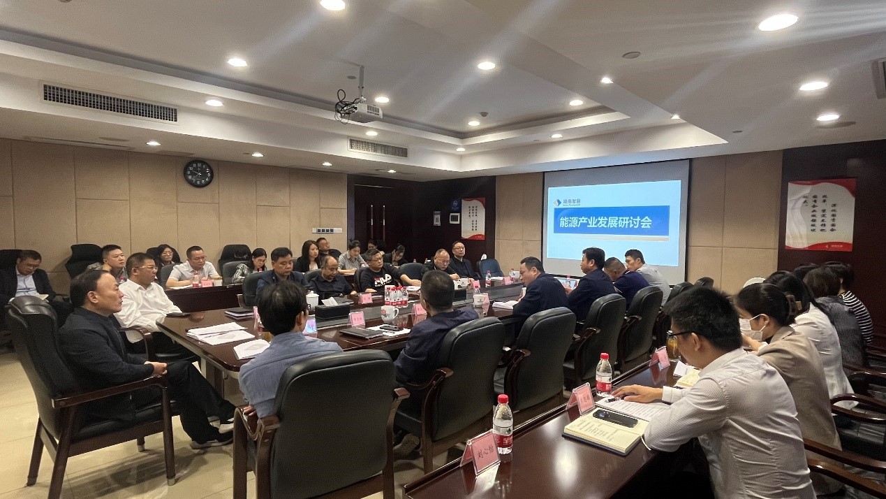 乐鱼平台_乐鱼（中国）一站式服务平台召开能源产业发展研讨会