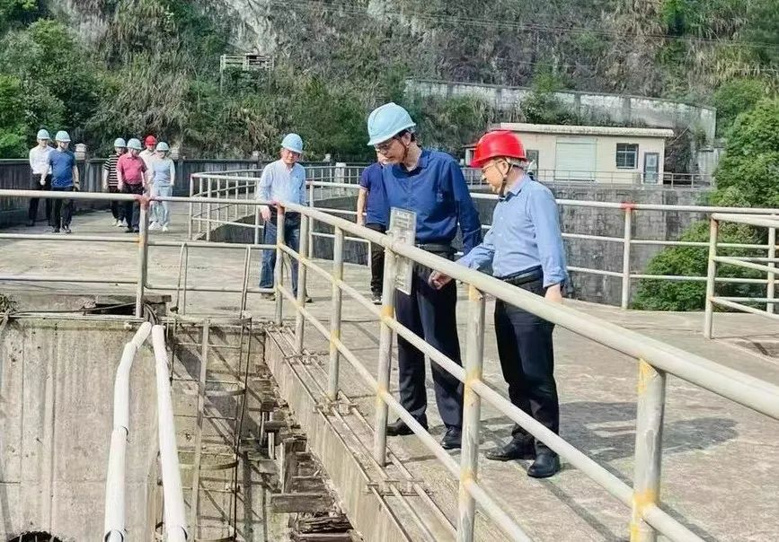省国资委二级巡视员戴雪峰一行莅临乐鱼平台_乐鱼（中国）一站式服务平台鸟儿巢公司开展防汛安全督查